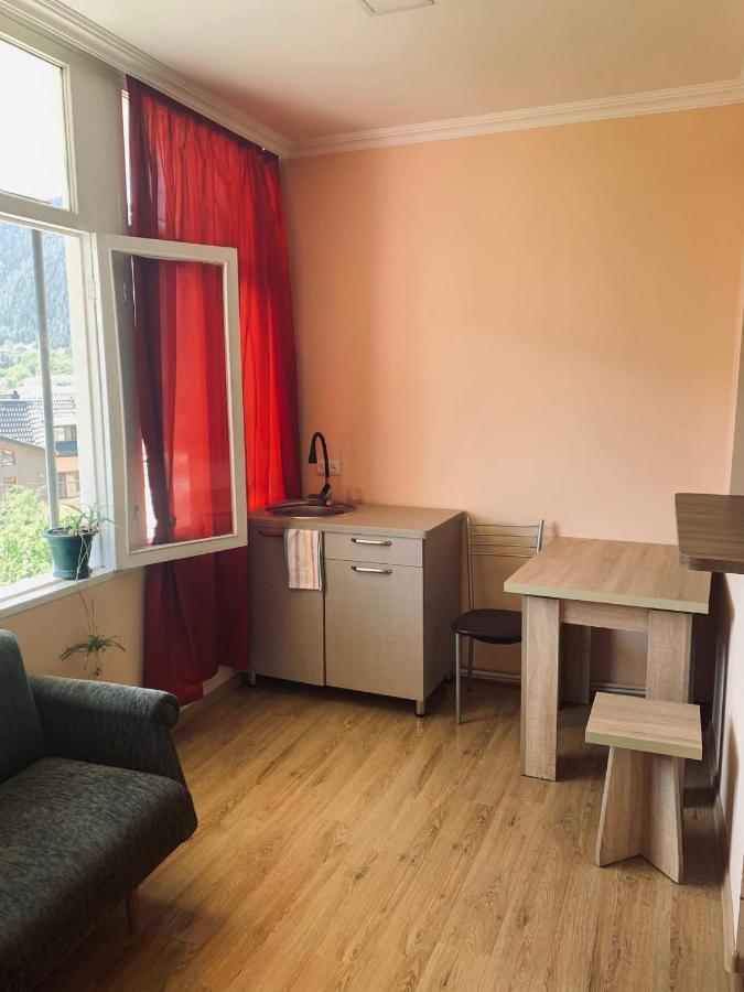 Ano'A Apartment Borjomi ภายนอก รูปภาพ