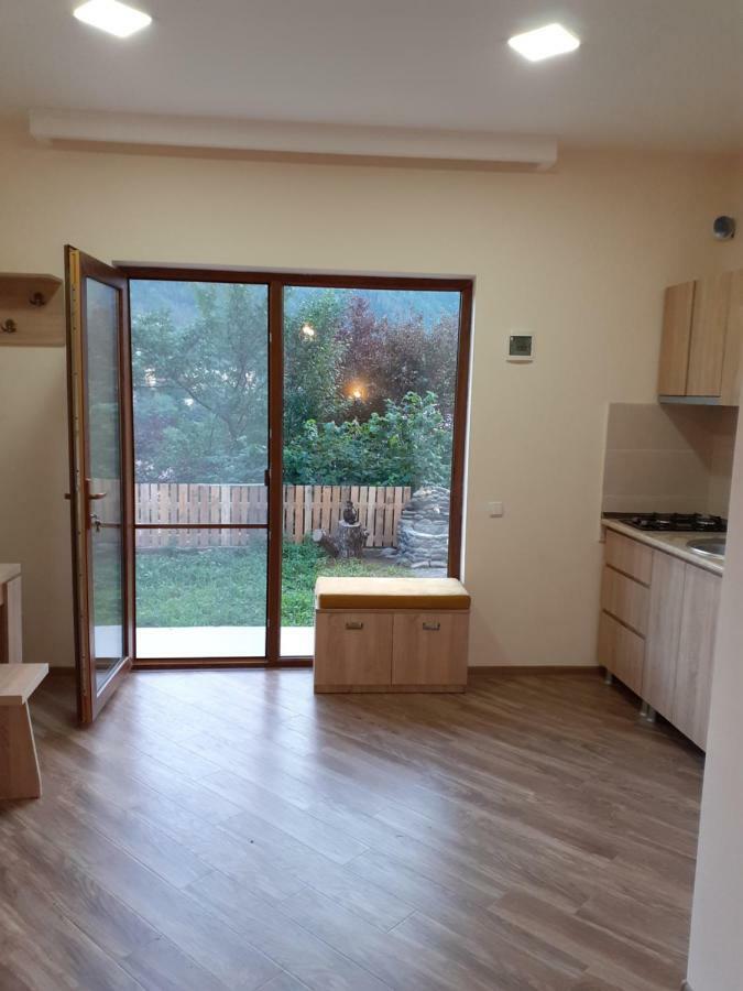 Ano'A Apartment Borjomi ภายนอก รูปภาพ